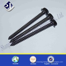 DIN571 Fastener Wood Screw (high quality)